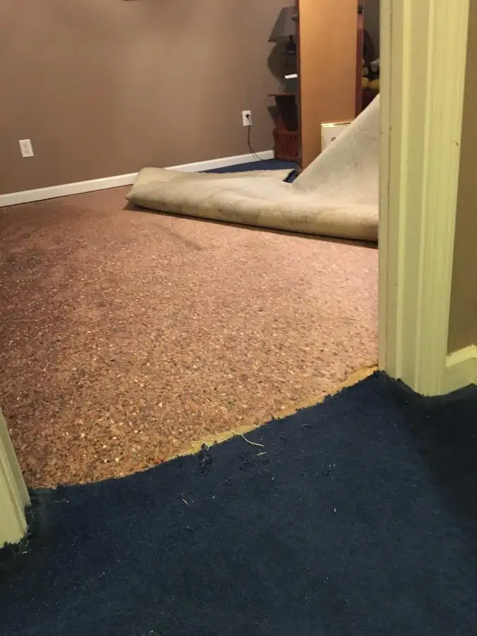 Carpet pad removal revealing water damage during Drying & Dehumidification in Davison