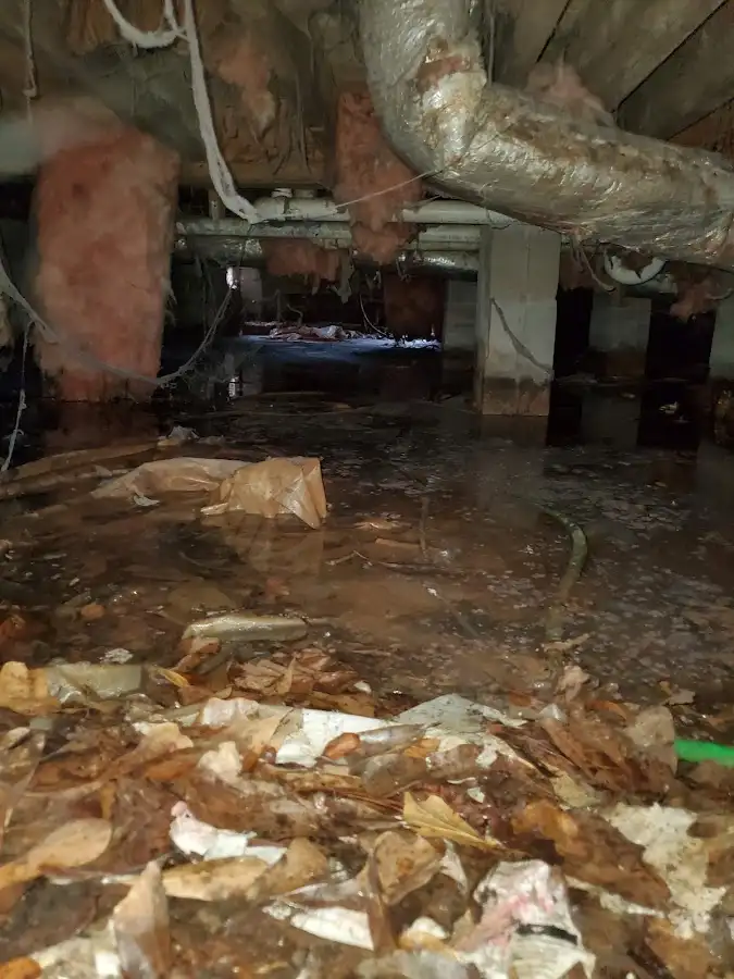 Crawl space flood assessment for Leak Detection & Repair in Davison