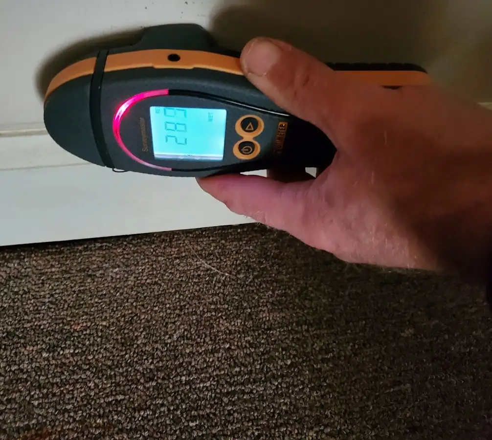 Moisture detection at baseboard during Burst Pipe Cleanup in Davison