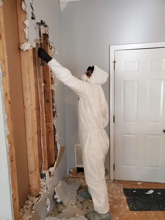 Mold Remediation & Removal in Davison, MI